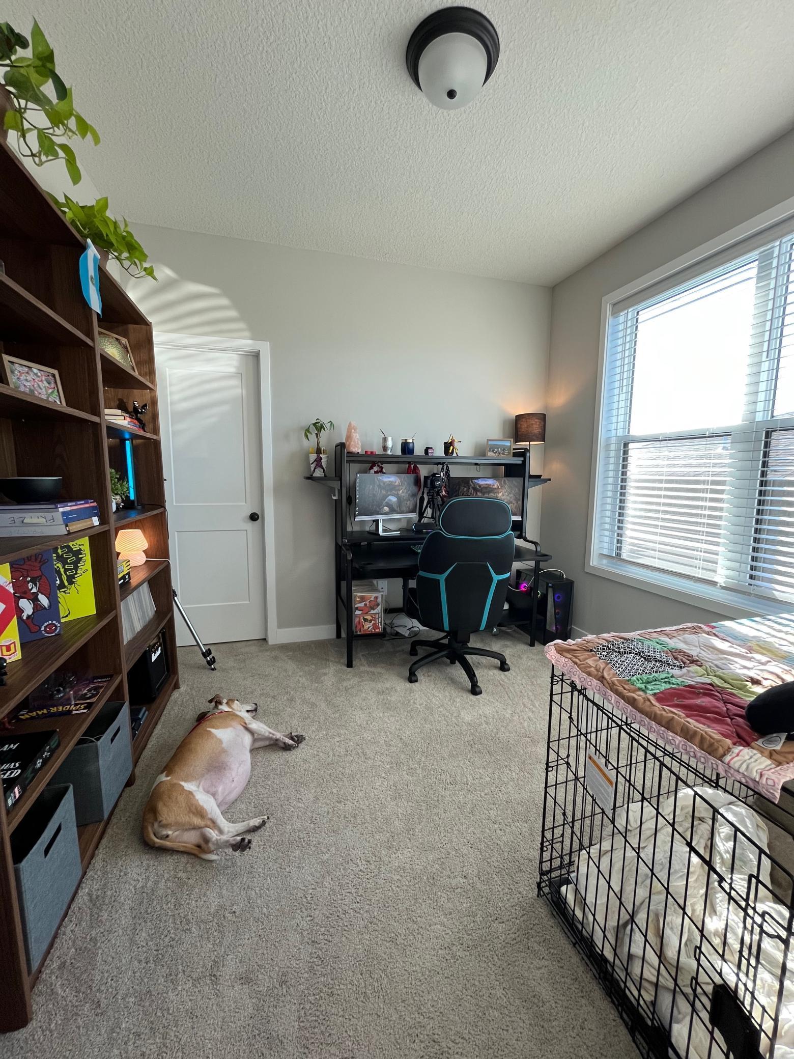 5539 Welter Way Chaska, MN 55318 - Photo 16 of 27