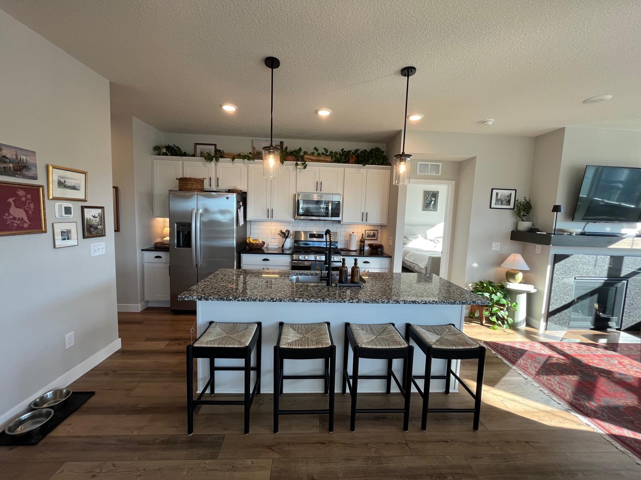 5539 Welter Way Chaska, MN 55318 - Photo 5 of 27