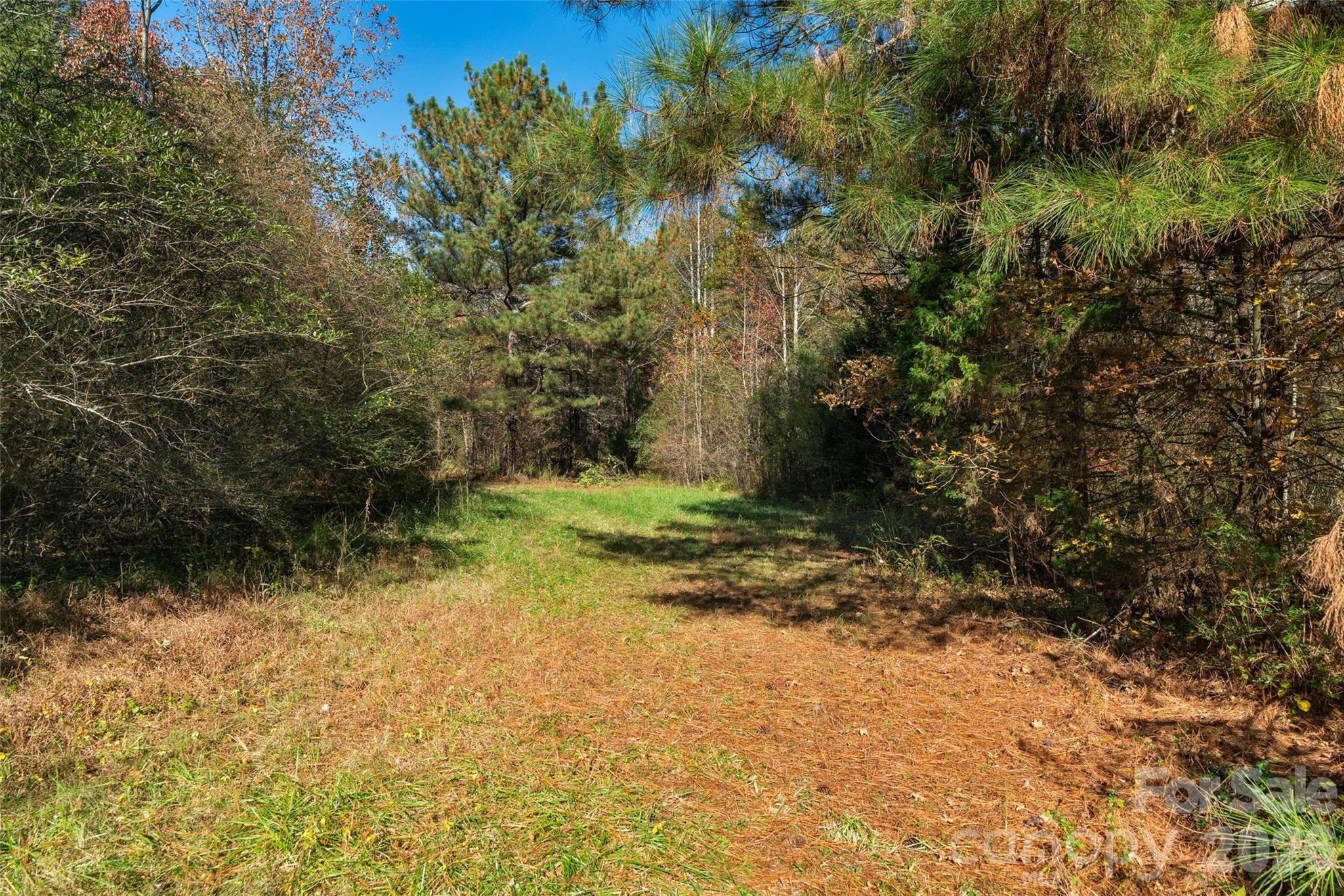 0 Bud Davis Road, Unit 7 Vale, NC 28168 - Photo 15 of 28