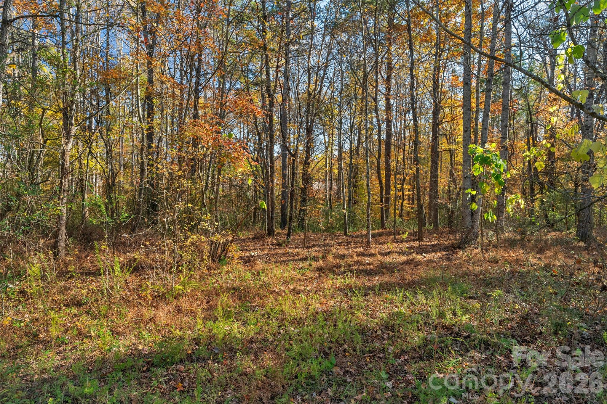 0 Bud Davis Road, Unit 7 Vale, NC 28168 - Photo 16 of 28