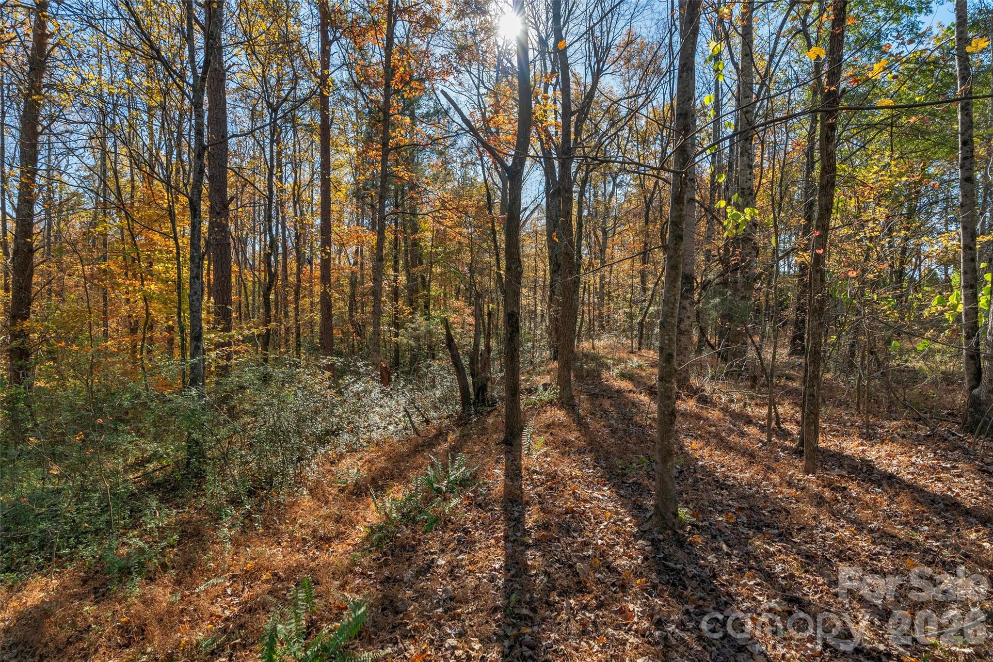0 Bud Davis Road, Unit 7 Vale, NC 28168 - Photo 17 of 28