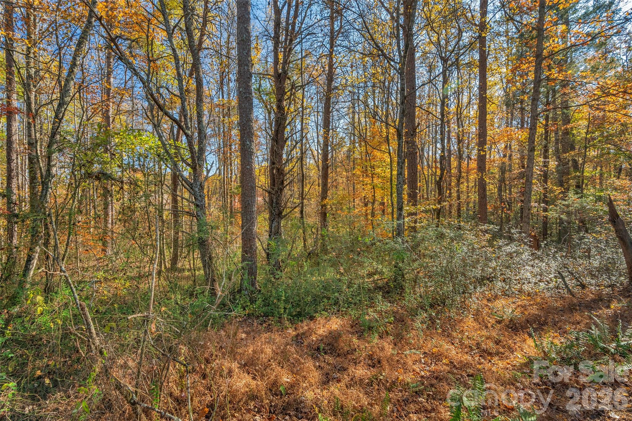 0 Bud Davis Road, Unit 7 Vale, NC 28168 - Photo 18 of 28