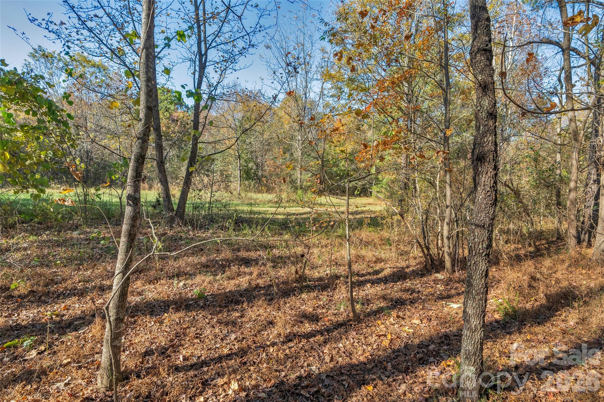 0 Bud Davis Road, Unit 7 Vale, NC 28168 - Photo 19 of 28