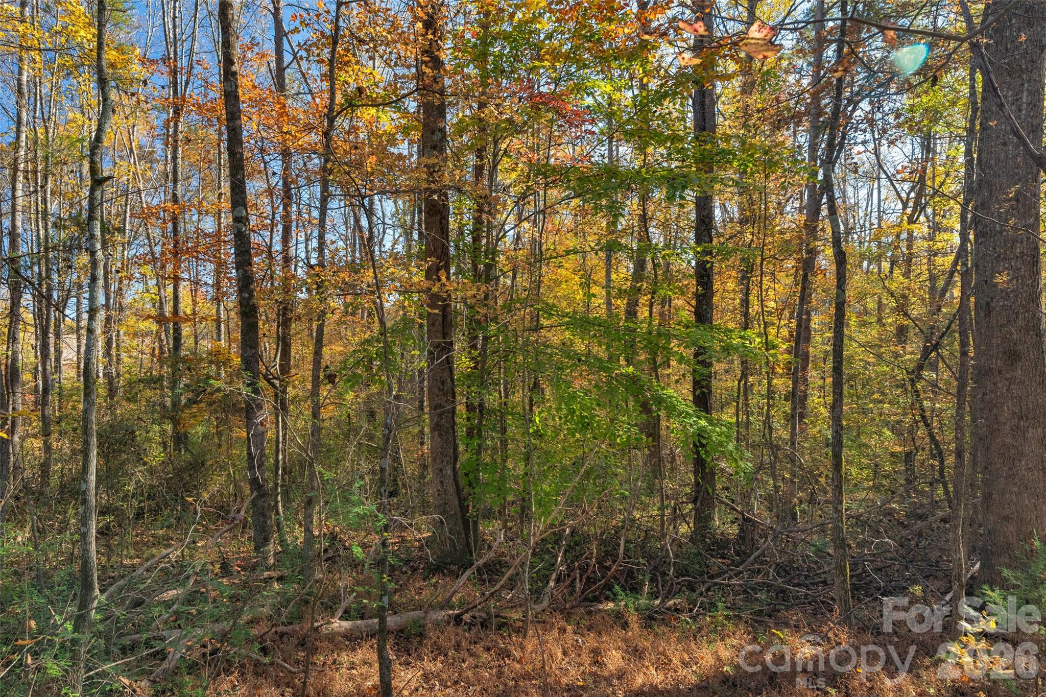 0 Bud Davis Road, Unit 7 Vale, NC 28168 - Photo 20 of 28