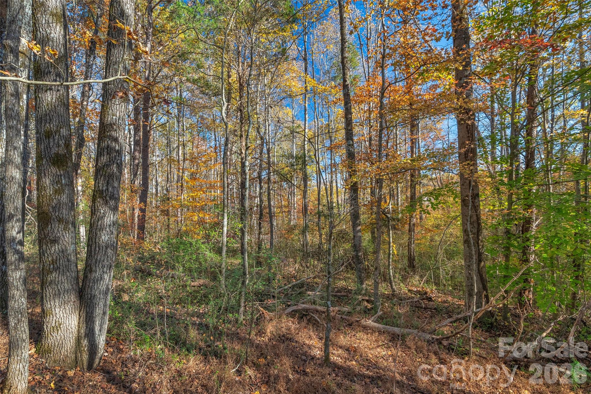 0 Bud Davis Road, Unit 7 Vale, NC 28168 - Photo 21 of 28