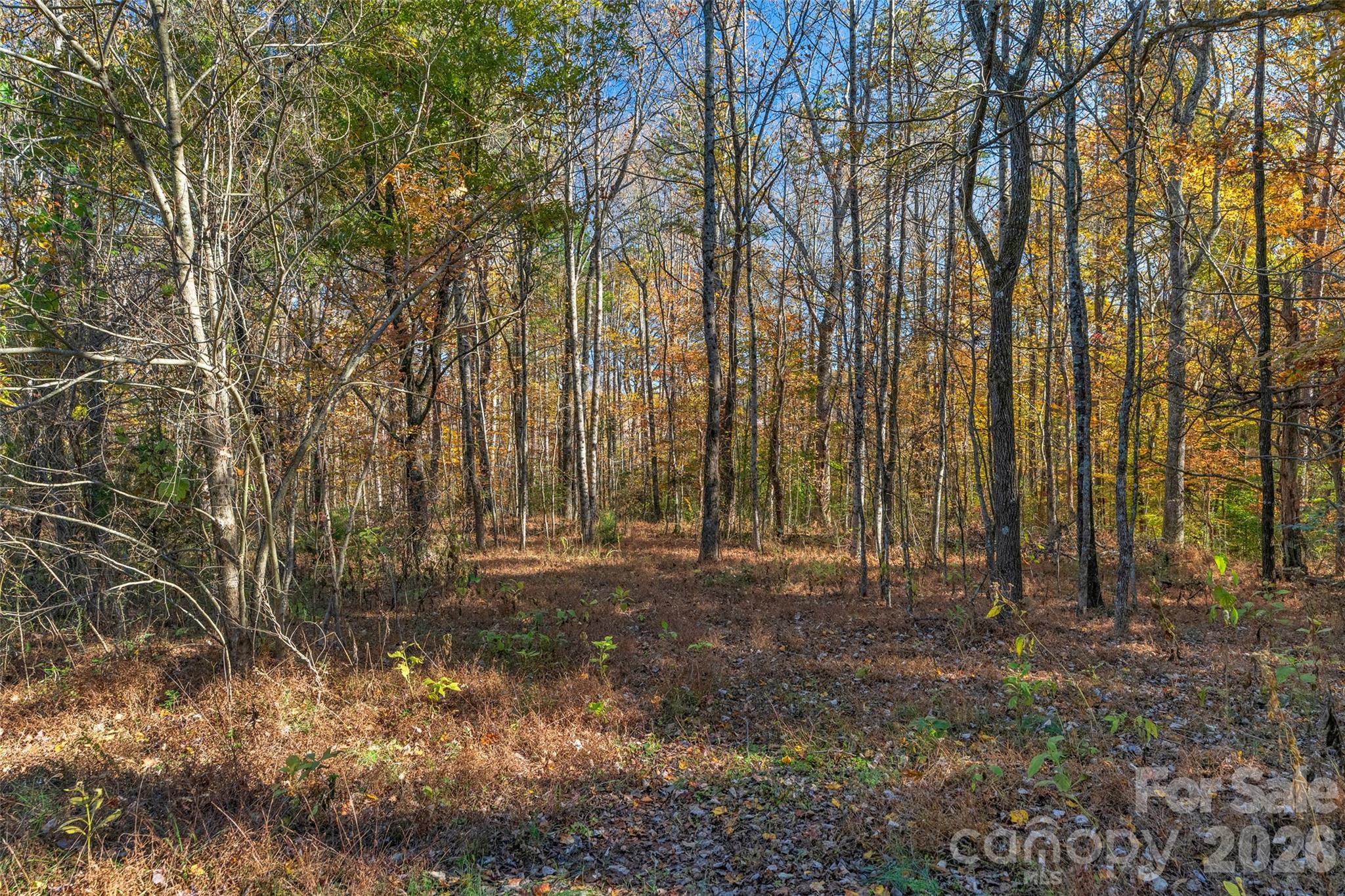 0 Bud Davis Road, Unit 7 Vale, NC 28168 - Photo 23 of 28