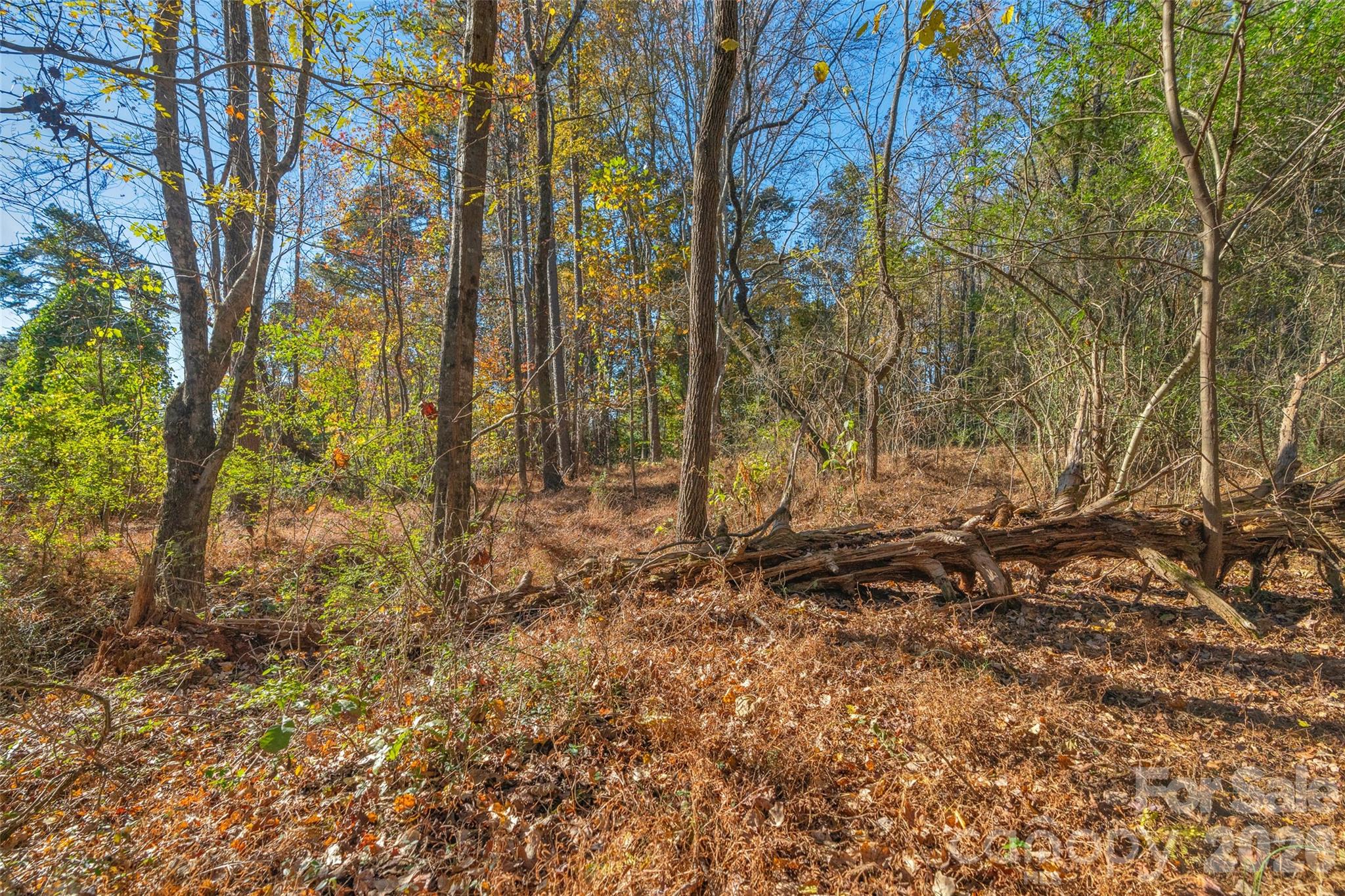 0 Bud Davis Road, Unit 7 Vale, NC 28168 - Photo 24 of 28