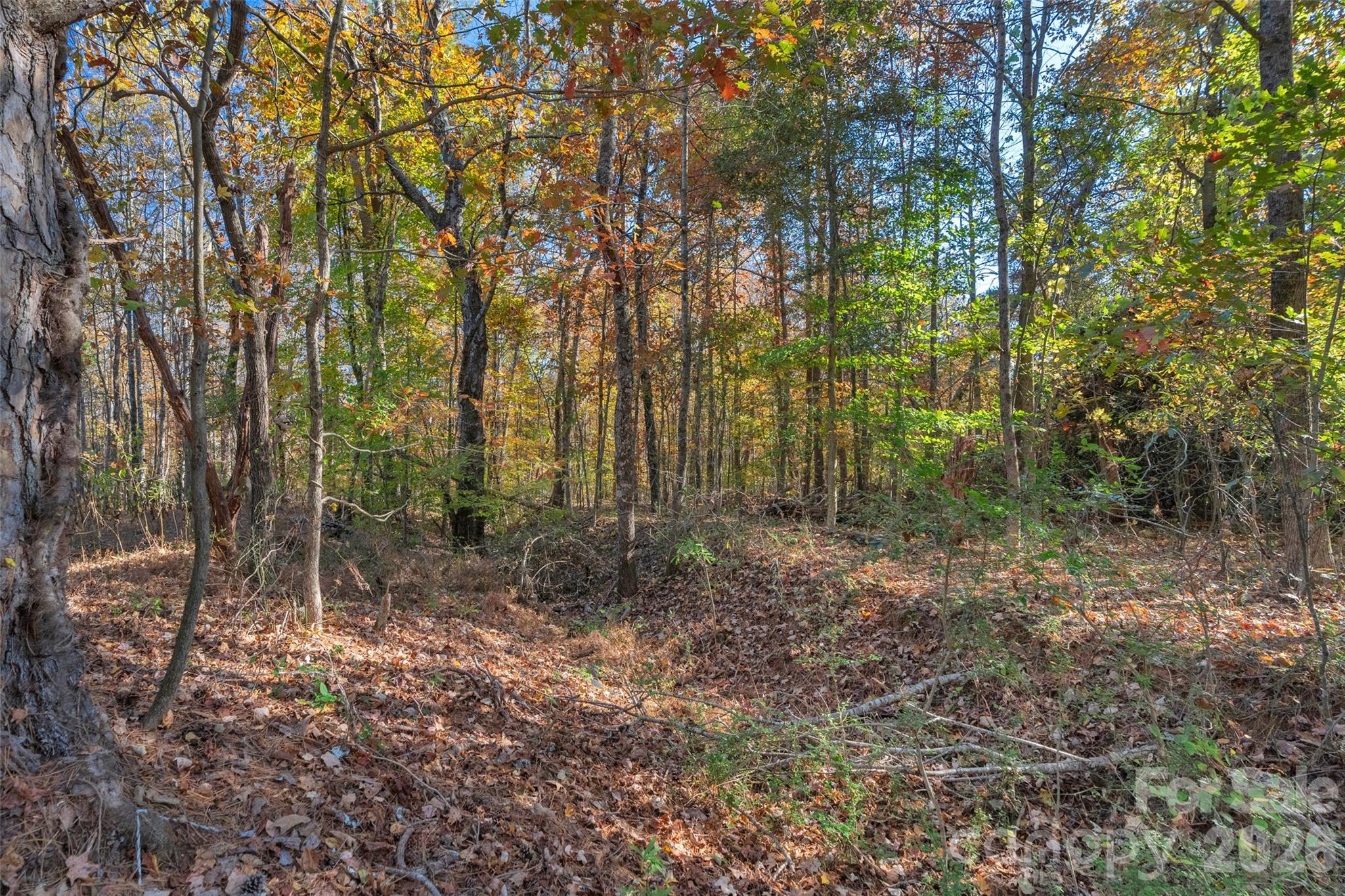 0 Bud Davis Road, Unit 7 Vale, NC 28168 - Photo 25 of 28