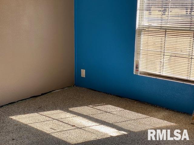1774 Dr Springs Road Carterville, IL 62918 - Photo 12 of 16 Gallery Image 12