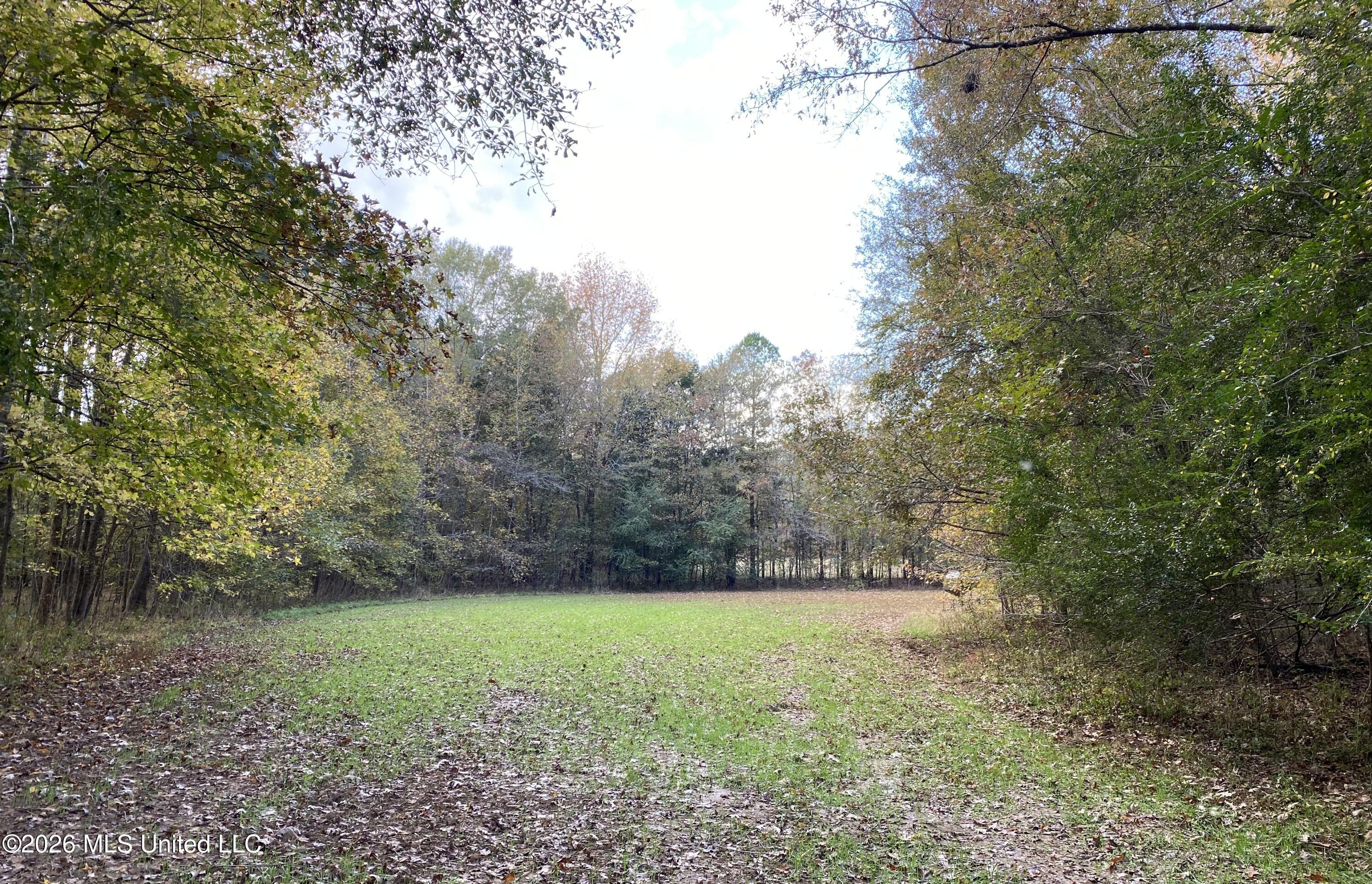 1359 Loring Rd Exd Camden, MS 39045 - Photo 70 of 91 IMG_6345