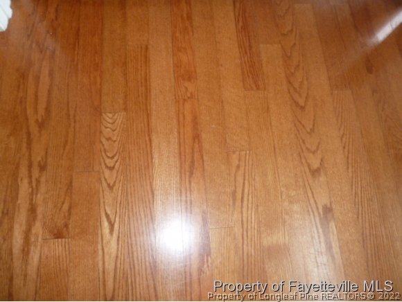 166 Linden Road Cameron, NC 28326 - Photo 10 of 24 Gallery Image 10