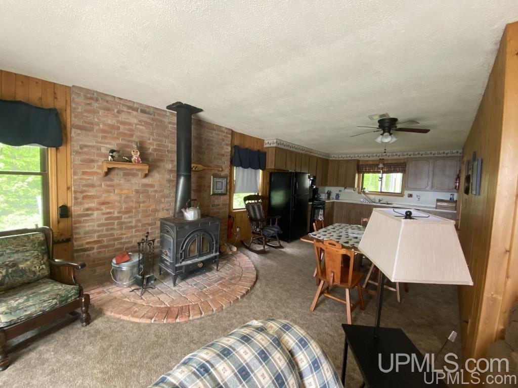 E16871 Nevins Lake Road Shingleton, MI 49884 - Photo 8 of 35