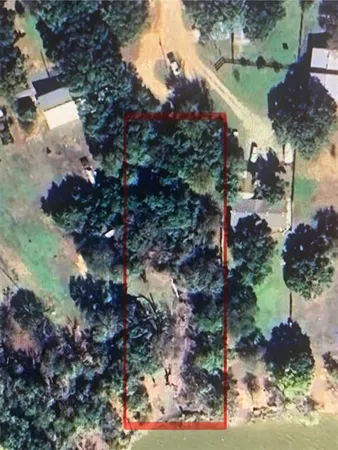 a view of a tree in a yard