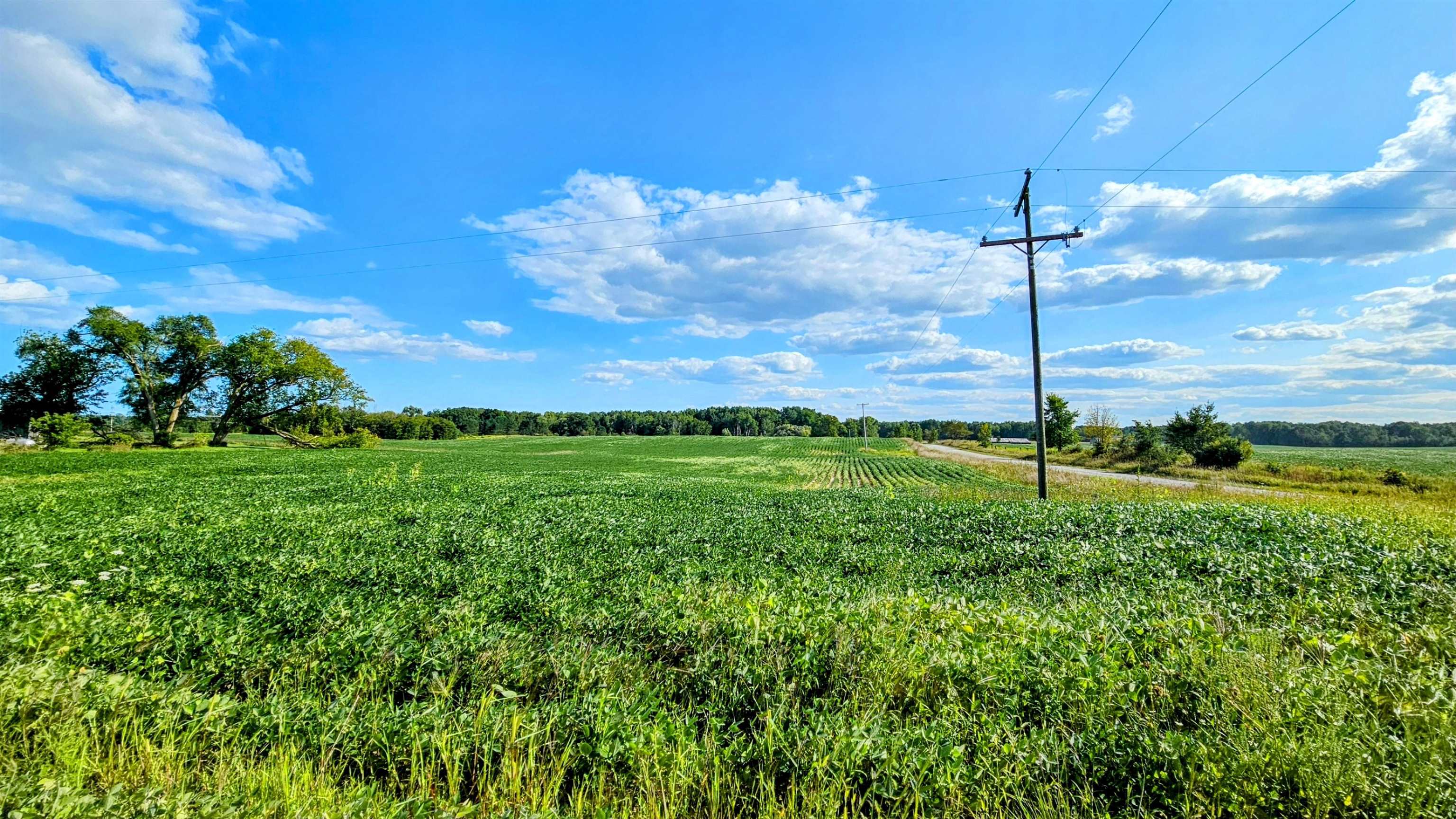 N/a N/a Maple Ridge Road, Unit ROSEBURGH Alger, MI 48610 - Photo 9 of 24