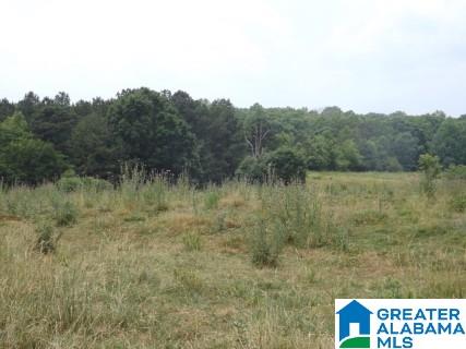 0 Highway 24 Oneonta Al Oneonta, AL 35121 - Photo 16 of 27
