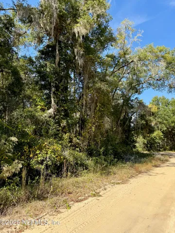 a view of a yard with a tree