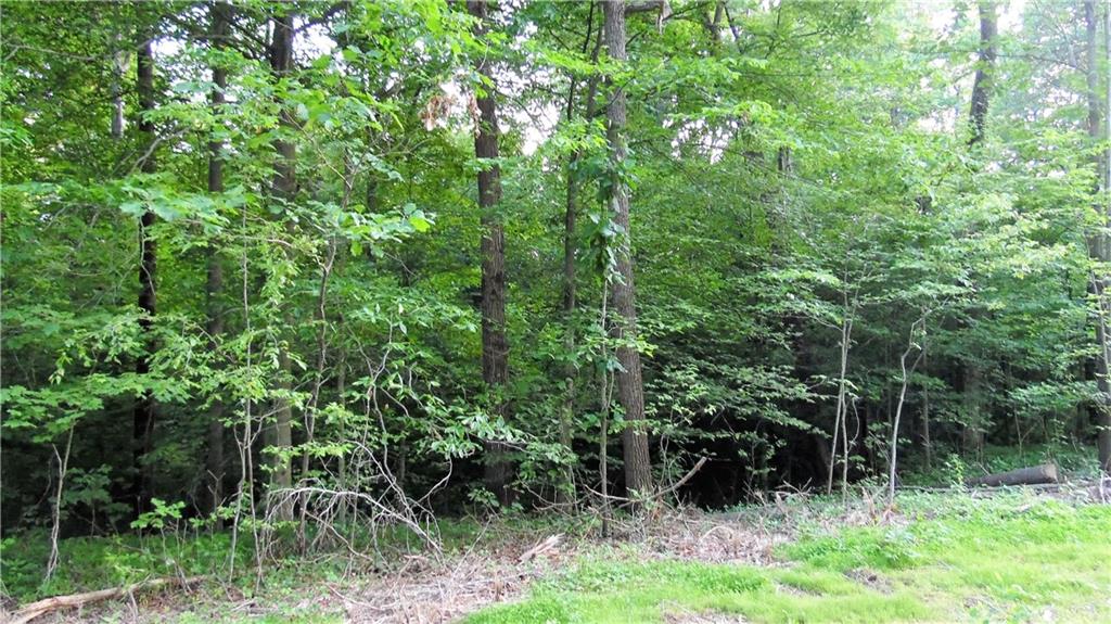 0 Silcox Road Paragon, IN 46166 - Photo 2 of 9