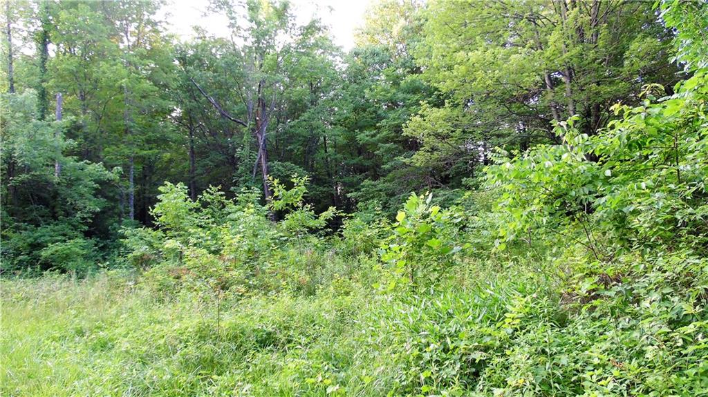 0 Silcox Road Paragon, IN 46166 - Photo 4 of 9