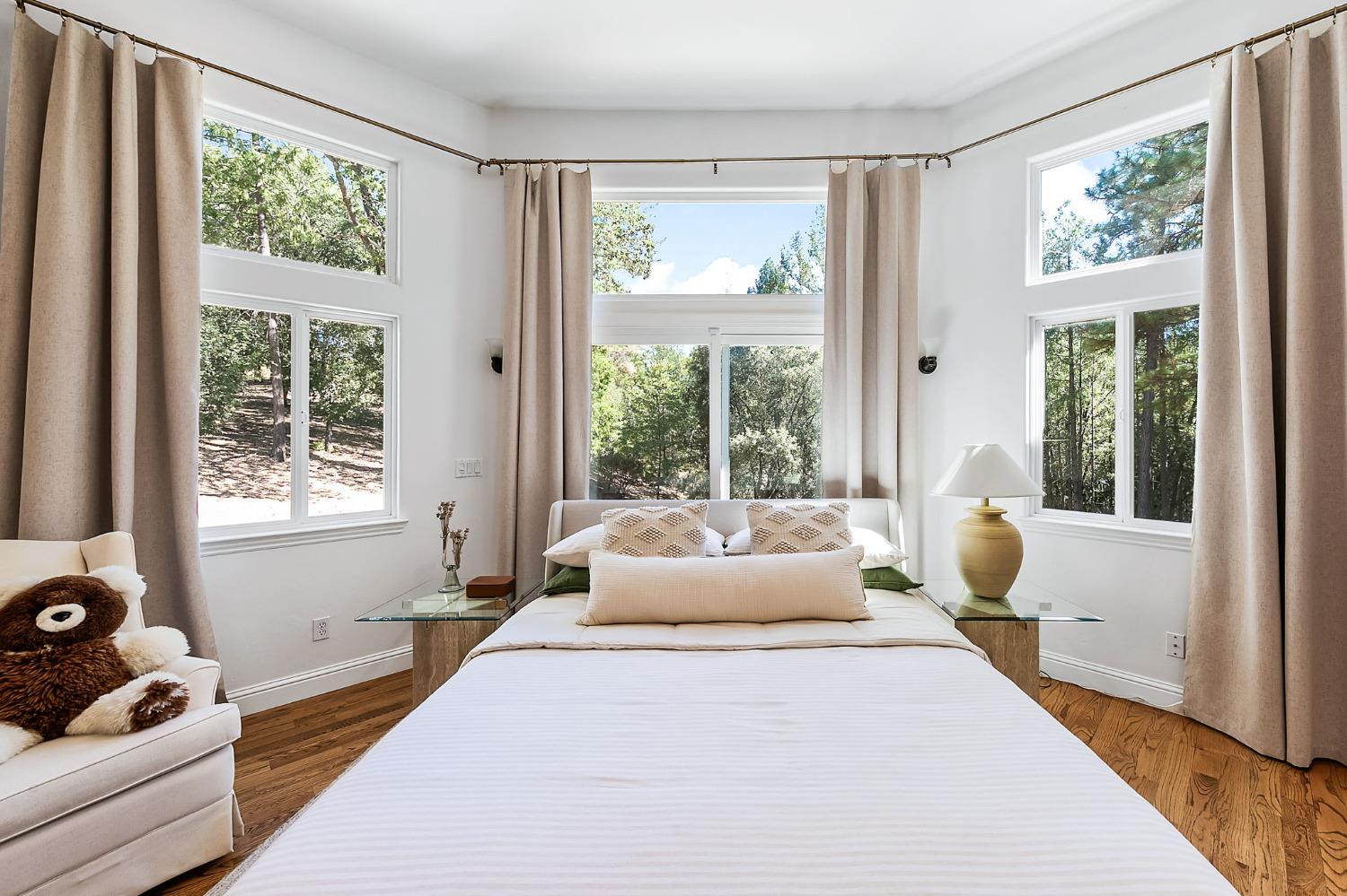 3235 Black Ridge Road Greenwood, CA 95635 - Photo 31 of 65