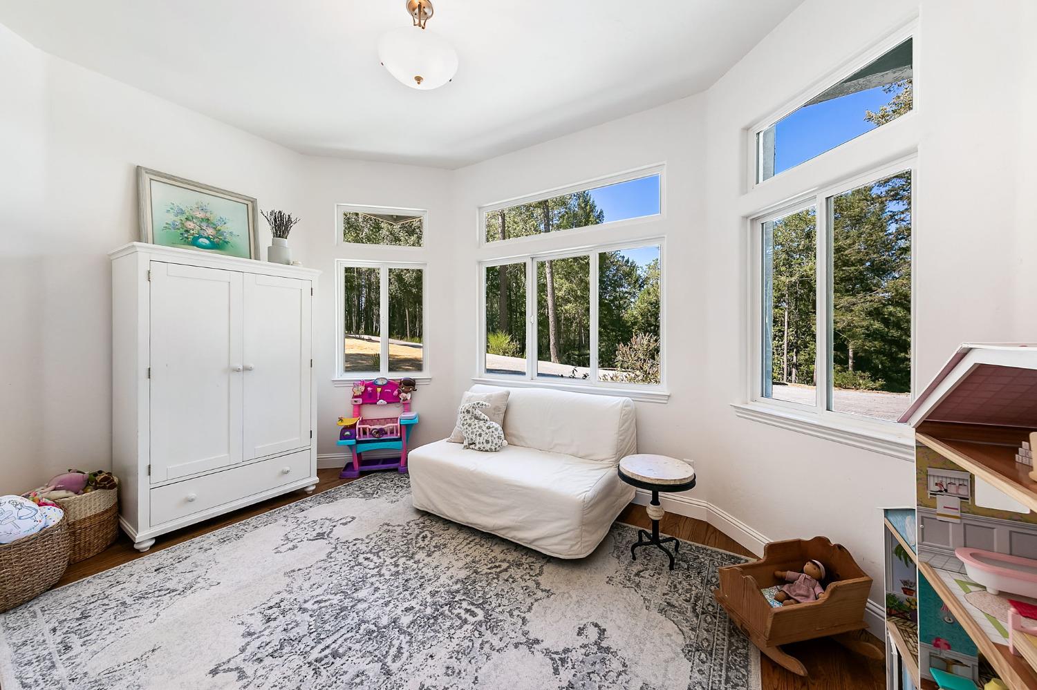 3235 Black Ridge Road Greenwood, CA 95635 - Photo 50 of 65