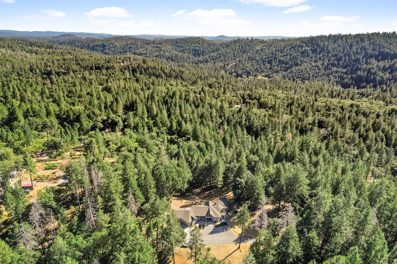 3235 Black Ridge Road Greenwood, CA 95635 - Photo 59 of 65