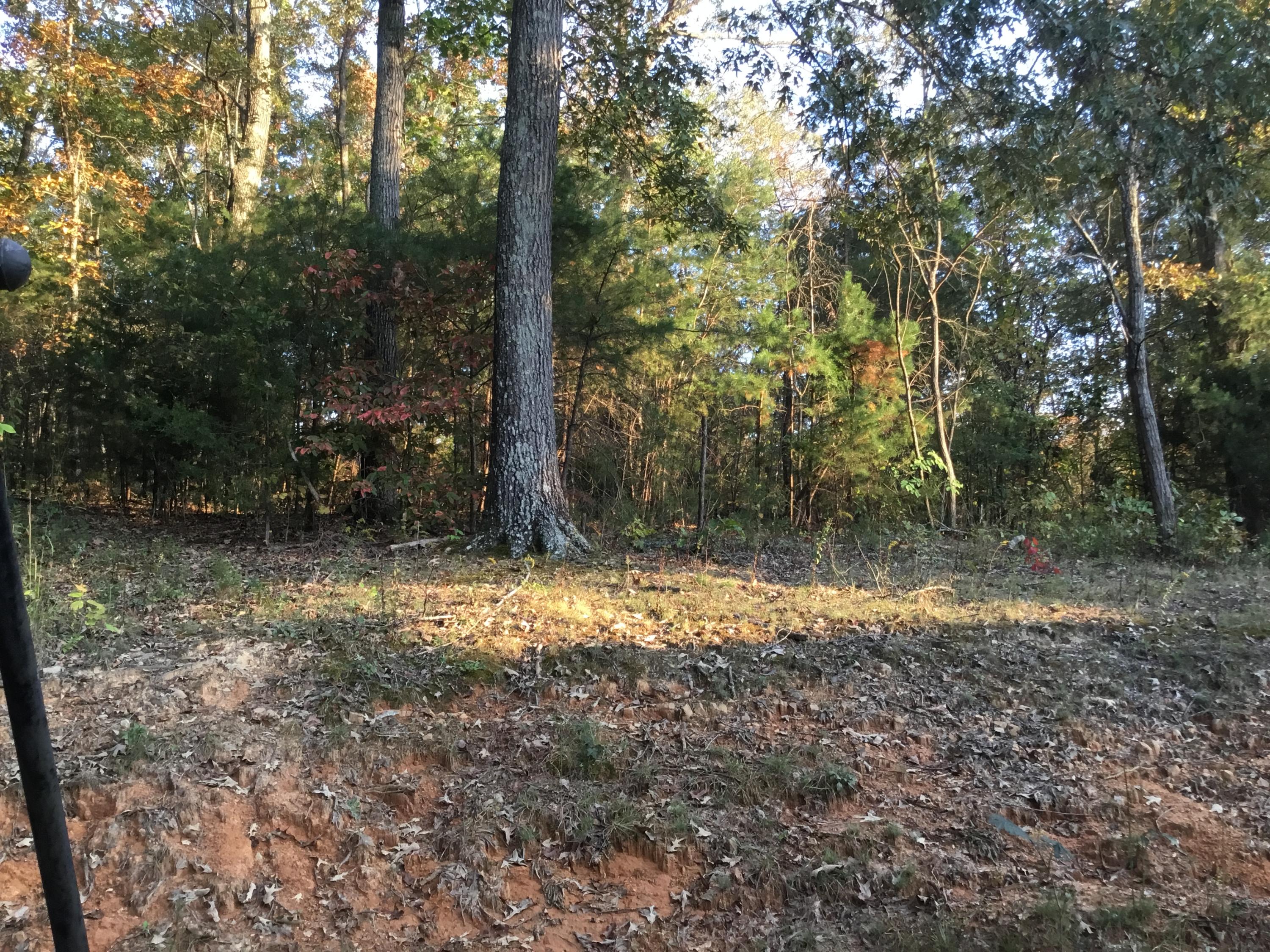 652 Johnson Road Kodak, TN 37764 - Photo 5 of 27 Side of Property
