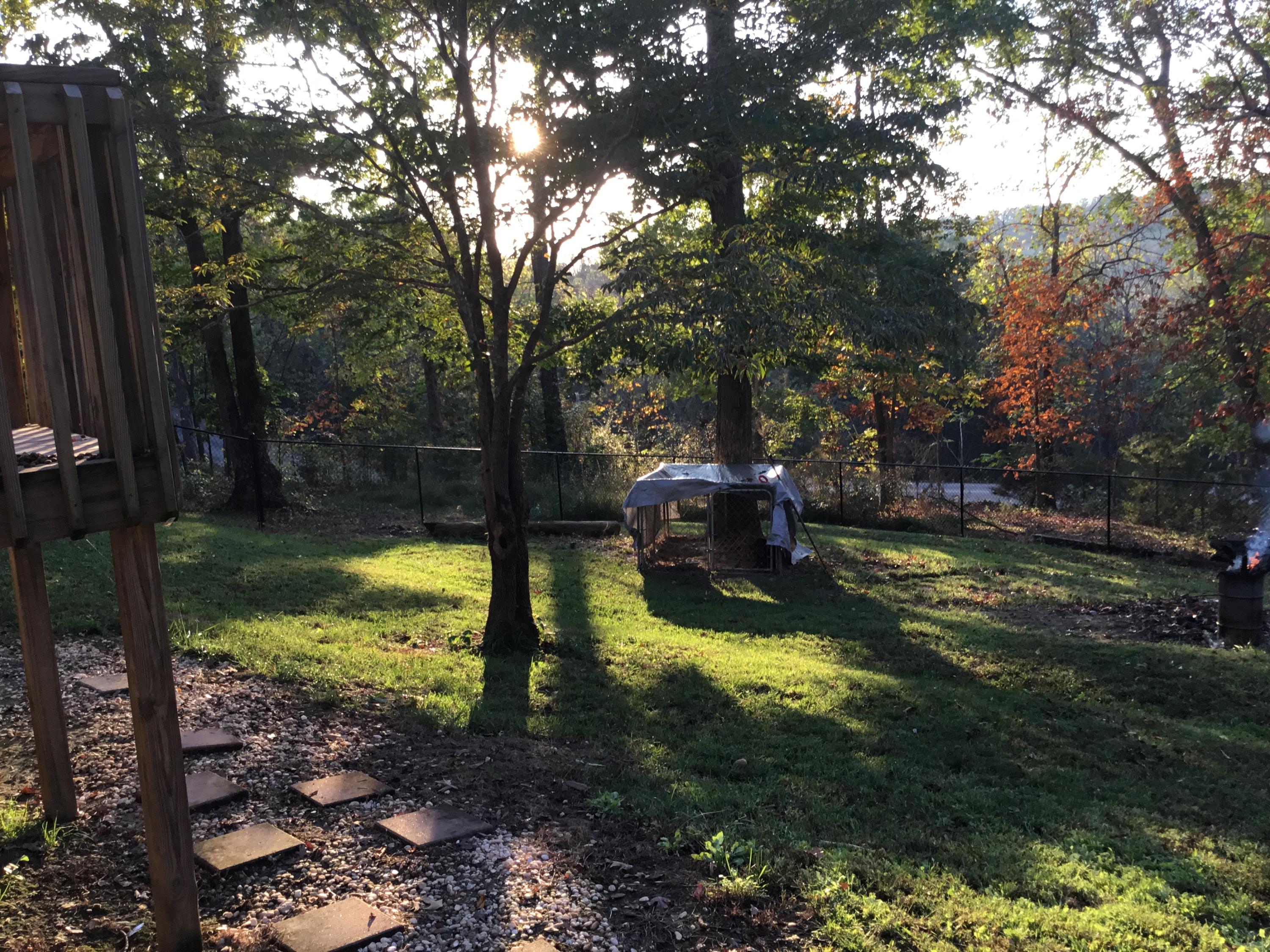 652 Johnson Road Kodak, TN 37764 - Photo 8 of 27 Front Yard