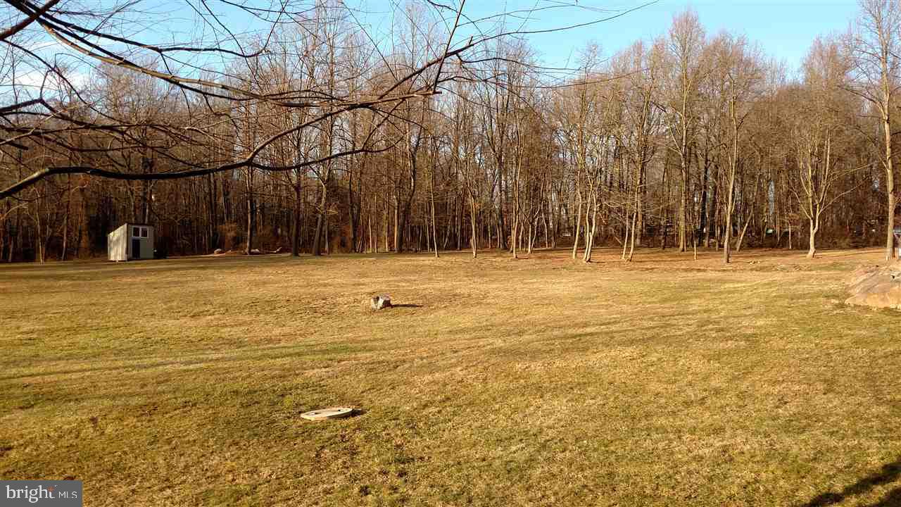 865 Bremer Road Dover, PA 17315 - Photo 26 of 33 a big yard with trees