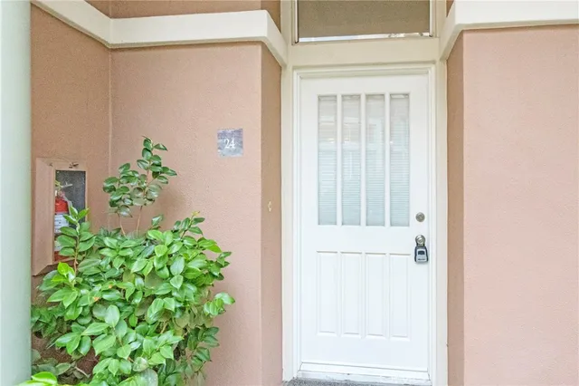 view of a potted plant in front of a door