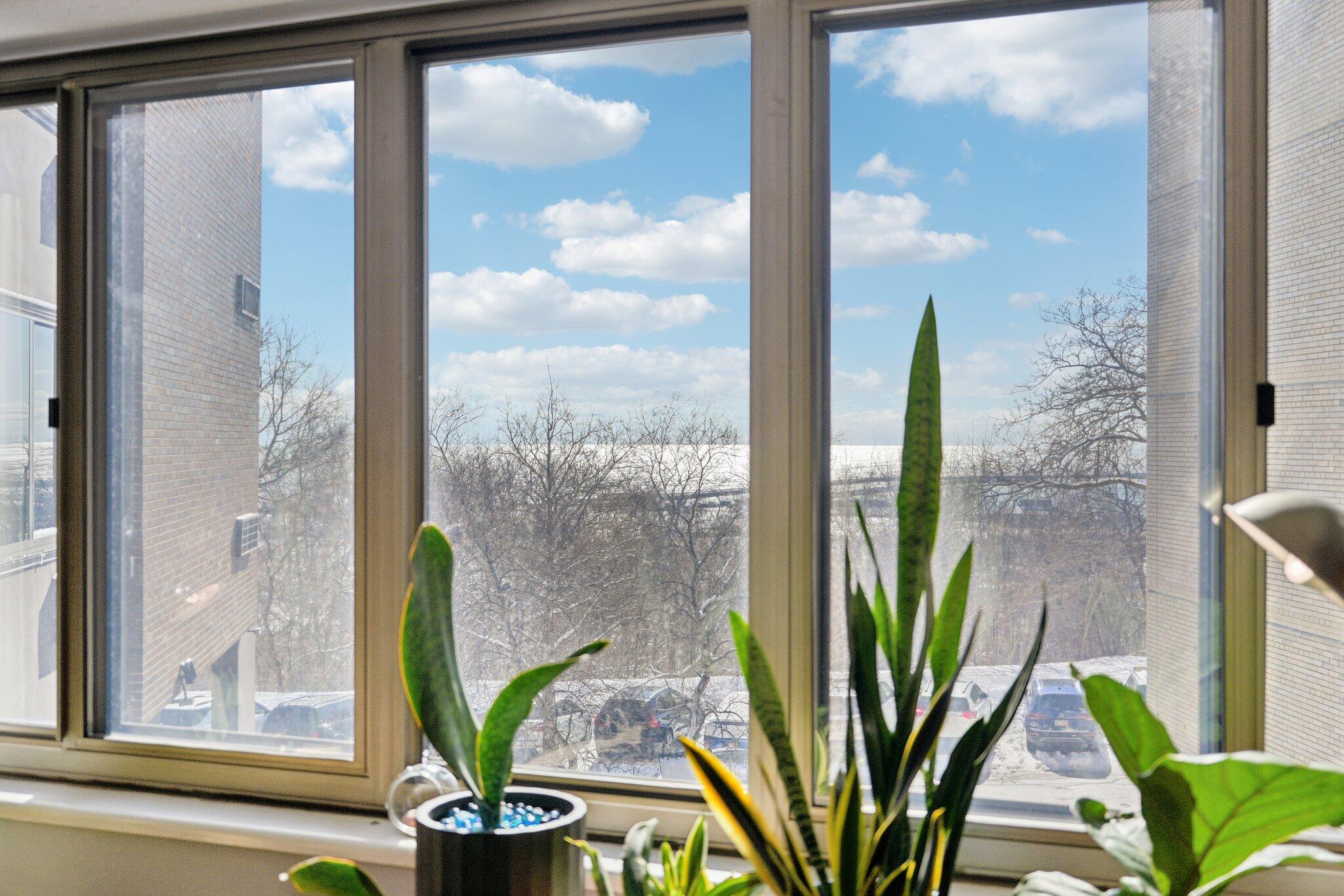 1919 North Summit Avenue, Unit 1C Milwaukee, WI 53202 - Photo 6 of 24 Lake View from Unit