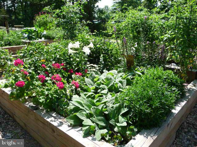 19375 Cypress Ridge Terrace, Unit 922 Leesburg, VA 20176 - Photo 44 of 89 Community Garden plots
