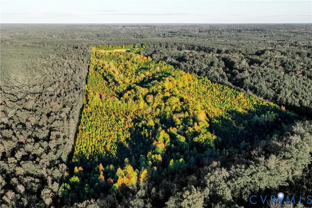 $799,900 | 1219 Schultz Ml Road, Meherrin, VA 23954