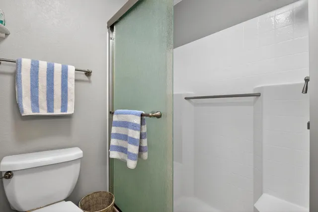 a white toilet sitting next to a shower curtain