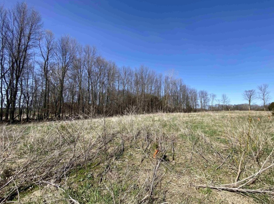 Lot 14 Sleepy Hollow Road Kewaunee, WI 54216 - Photo 4 of 16