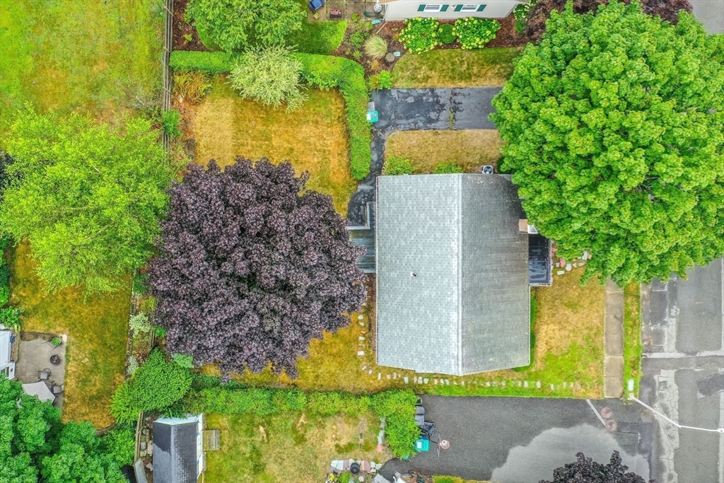 10 Westlund Road Belmont, MA 02478 - Photo 19 of 25 Gallery Image 19