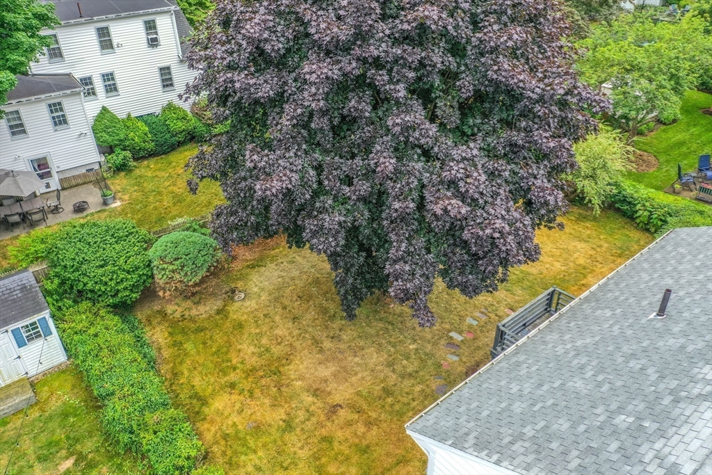 10 Westlund Road Belmont, MA 02478 - Photo 20 of 25 Gallery Image 20