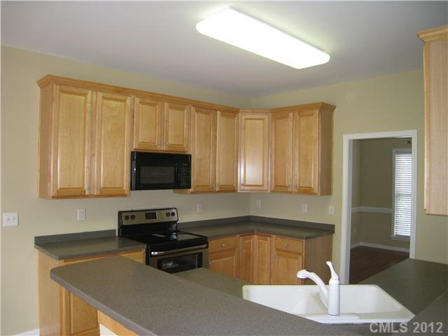 16809 Hampton Trace Road Huntersville, NC 28078 - Photo 3 of 16 Gallery Image 3