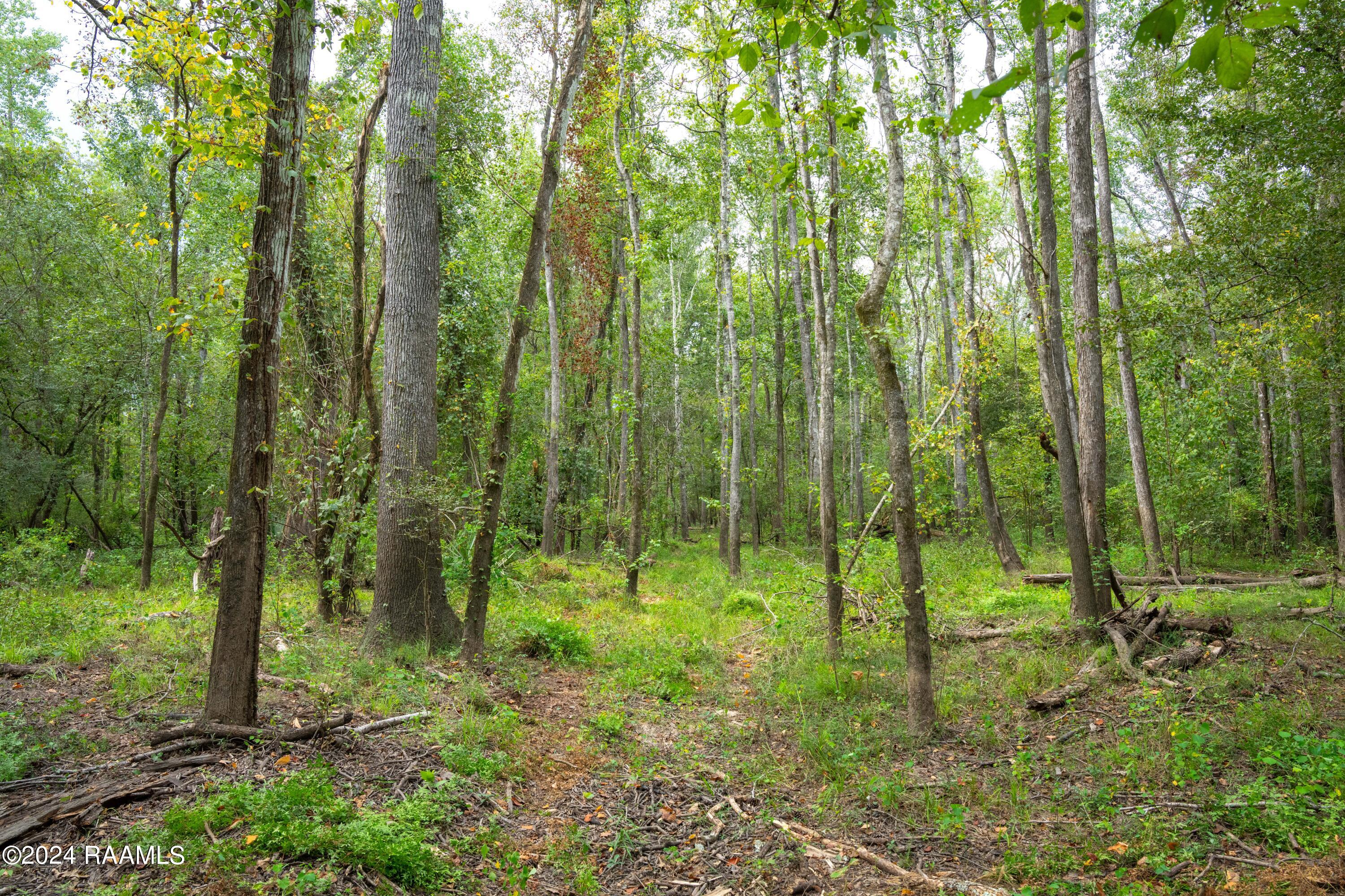 1 Vie Terre Beau Road Basile, LA 70515 - Photo 17 of 36 AcadiaWoods-21