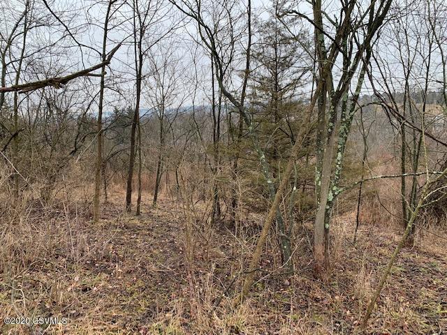 0 Dolan Heights Road Mifflintown, PA 17059 - Photo 8 of 16 Gallery Image 8
