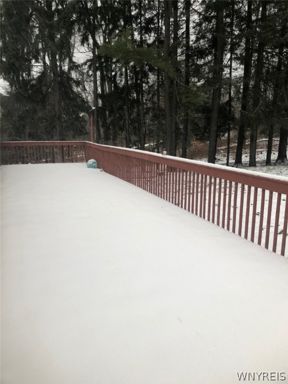 119 Chipmonk Road Allegany, NY 14753 - Photo 37 of 38