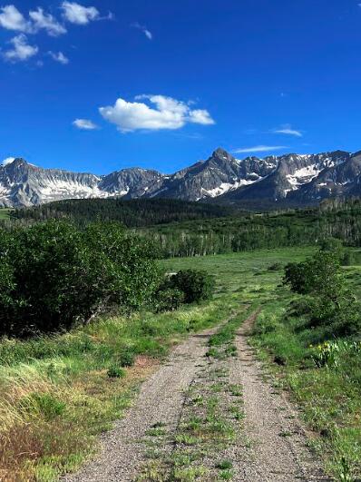 62 Highway 62 Ridgway, CO 81432 - Photo 4 of 13 Summer green