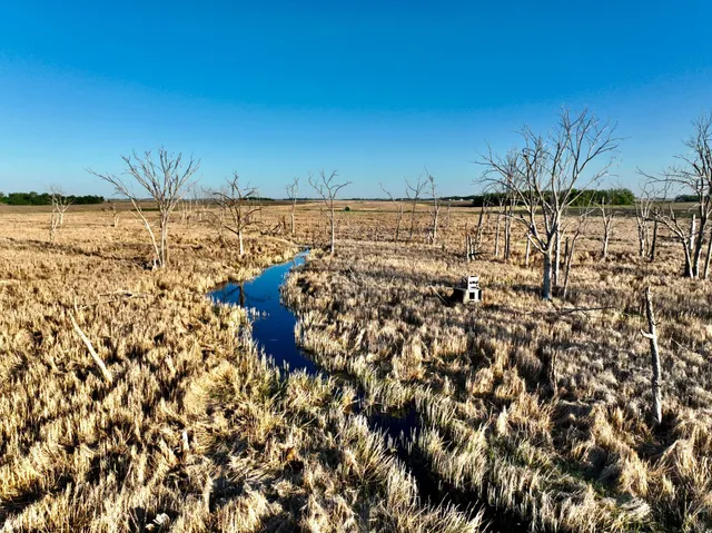 $549,000 | 2200 216th Street, Madison, MN 56256