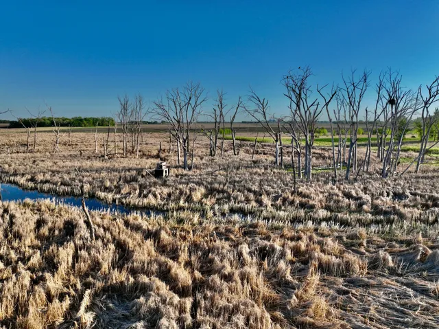 $549,000 | 2200 216th Street, Madison, MN 56256