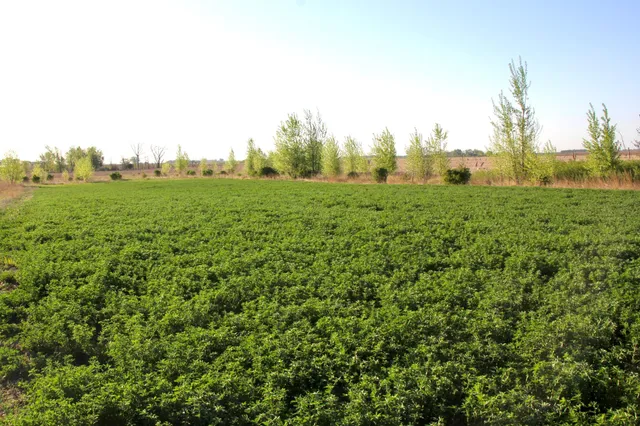 $549,000 | 2200 216th Street, Madison, MN 56256