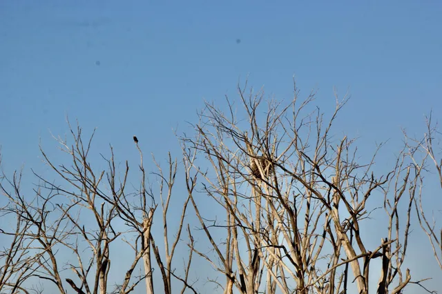 $549,000 | 2200 216th Street, Madison, MN 56256