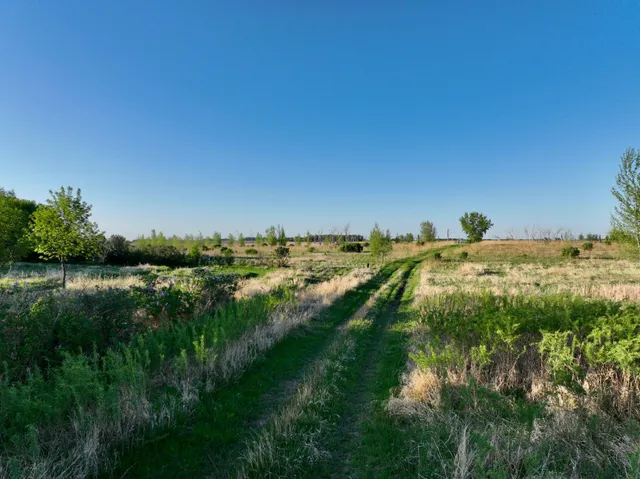 $549,000 | 2200 216th Street, Madison, MN 56256