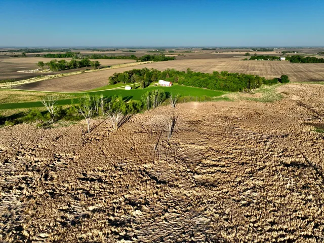 $549,000 | 2200 216th Street, Madison, MN 56256