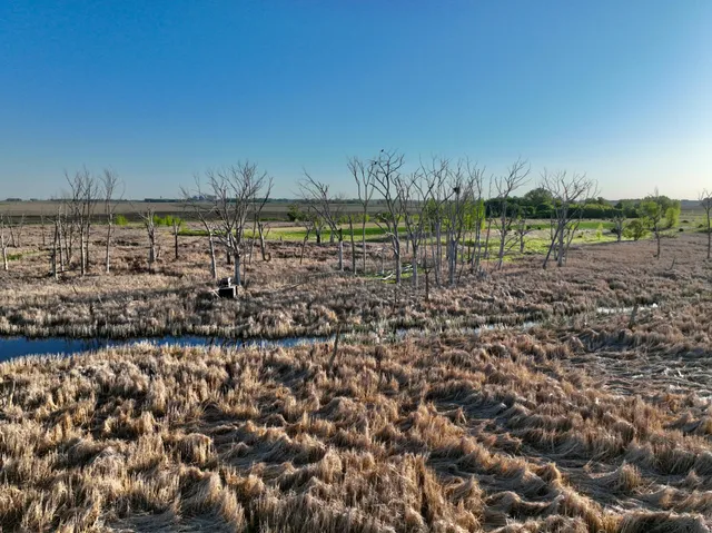 $549,000 | 2200 216th Street, Madison, MN 56256