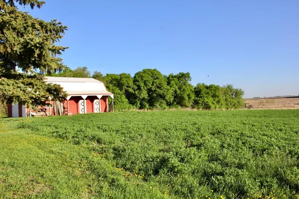 $375,000 | 2200 216th Street, Madison, MN 56256