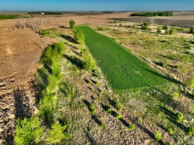 $549,000 | 2200 216th Street, Madison, MN 56256